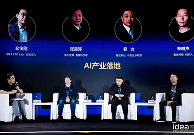 2021 IDEA大会专题——AI产业落地的挑战、道路和前景